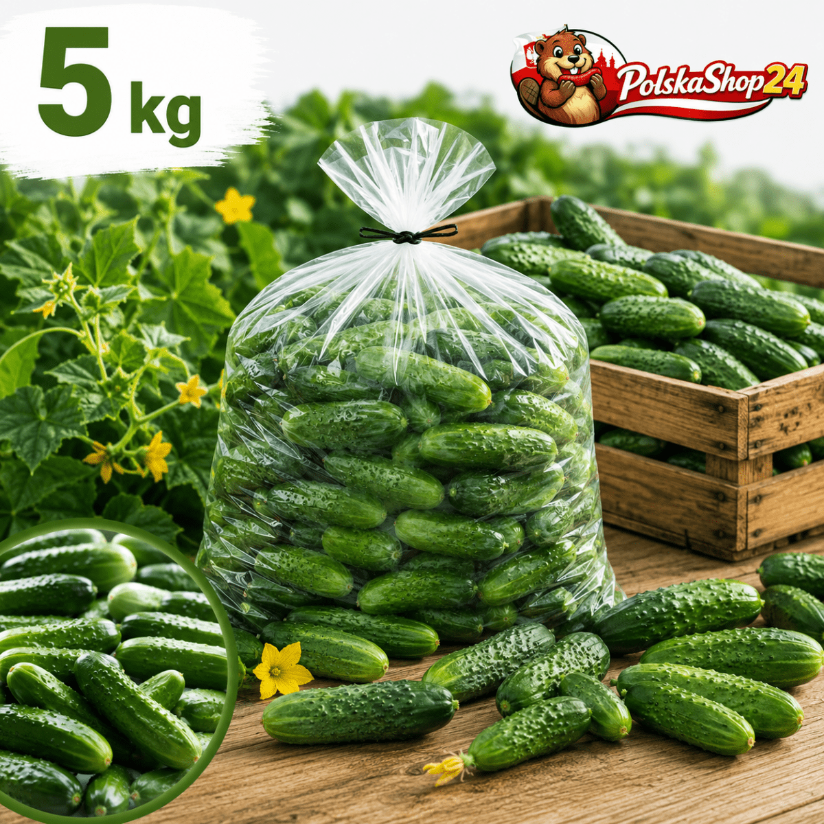 Einlegegurken / Ogórki 1kg - Polskashop24