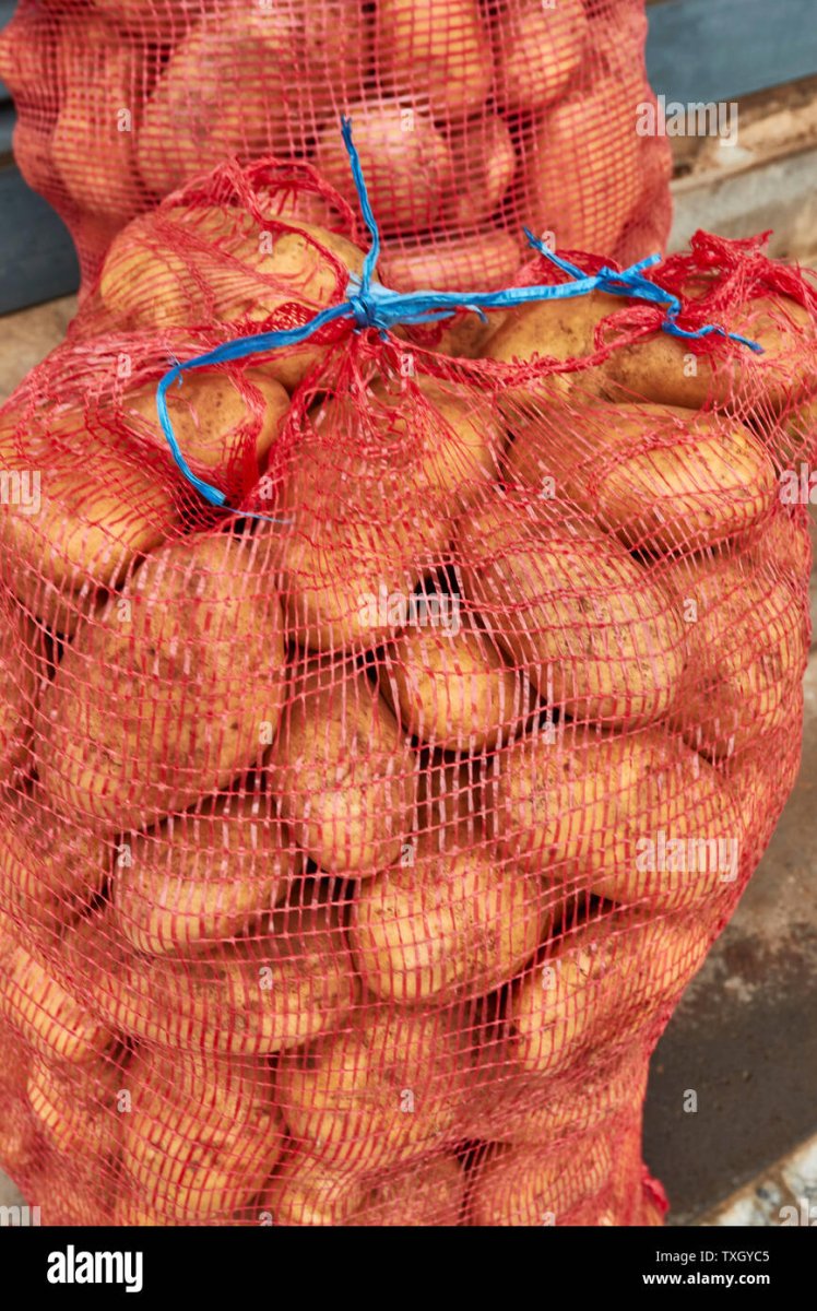 Kartoffel Rot 5kg - Polskashop24