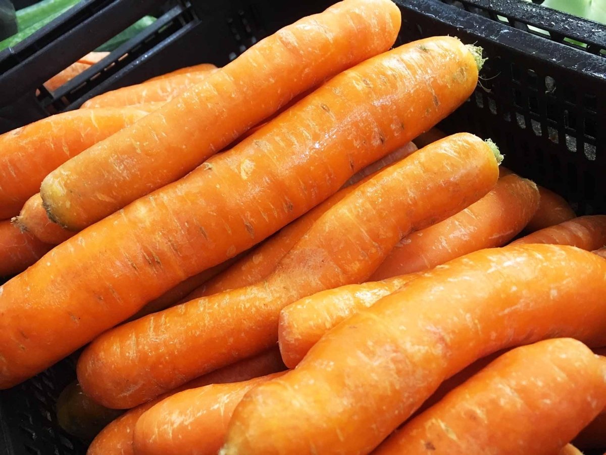 Möhren Herkunft: Polen 1 KG - Polskashop24