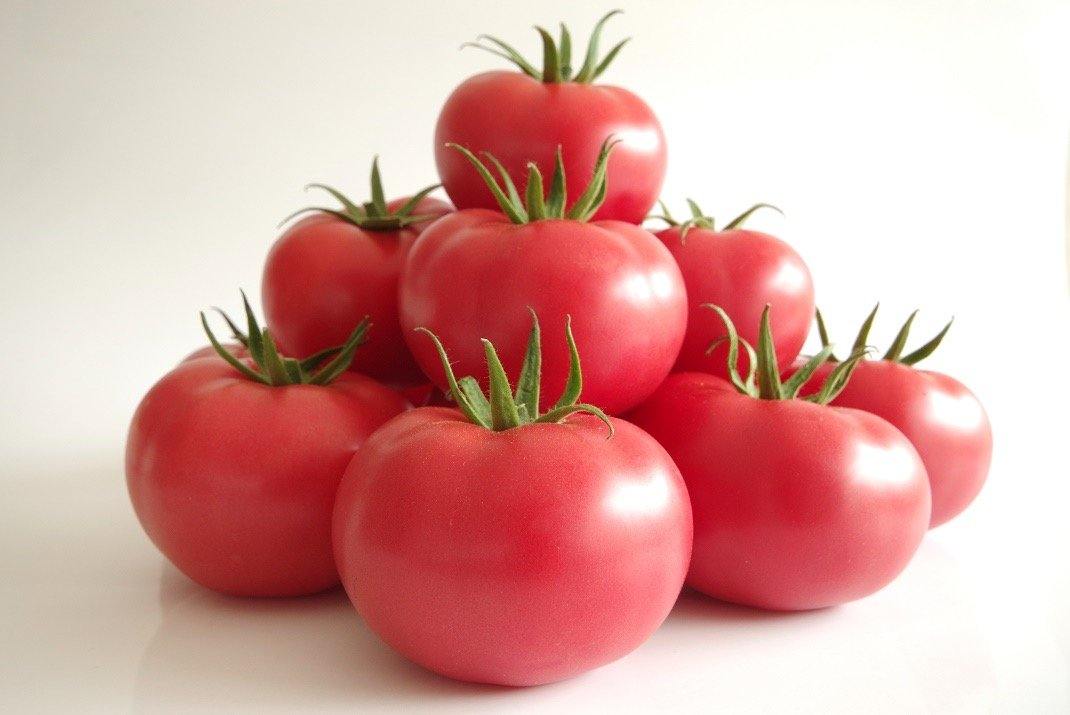 Polnische Himbeer Tomaten Bio / Pomidory Malinowe ca. 6kg Karton - Polskashop24
