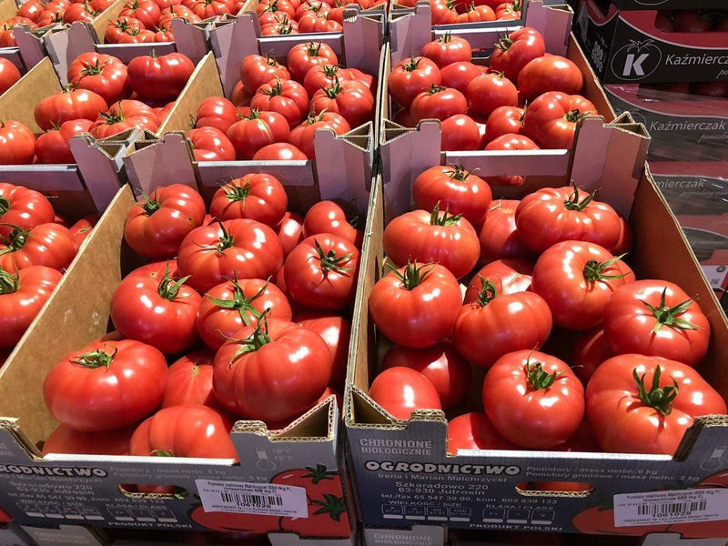 Polnische Himbeer Tomaten Bio / Pomidory Malinowe ca. 6 KG - Polskashop24.de