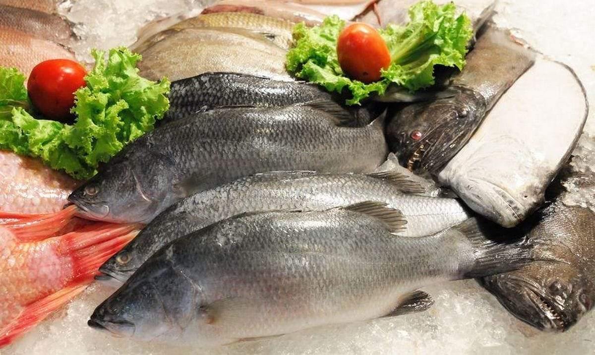 Polnischer Fisch - Polnische & Schlesische Spezialitäten - Online Supermarkt mit Lebensmittel aus Polen | Polski Sklep internetowy