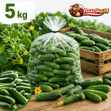 Einlegegurken / Ogórki 1kg - Polskashop24