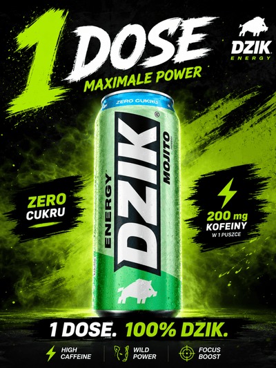 Energy Drink Zero Mojito 500ml - DZIK (zzgl. 0,25€ Pfand) - Polskashop24