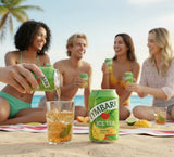 Ice Tea Mango Herbata Mrożona 330ml - Tymbark - Polskashop24