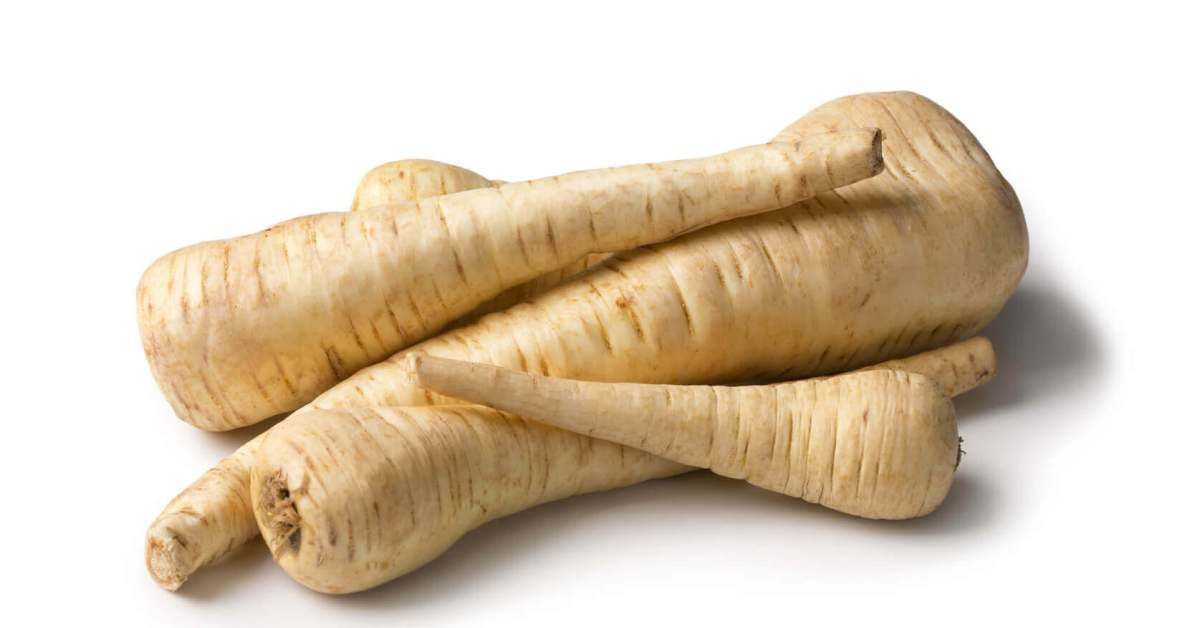 Petersilienwurzel Herkunft: Polen 1 KG - Polskashop24.de - Online Supermarkt mit Lebensmittel aus Polen