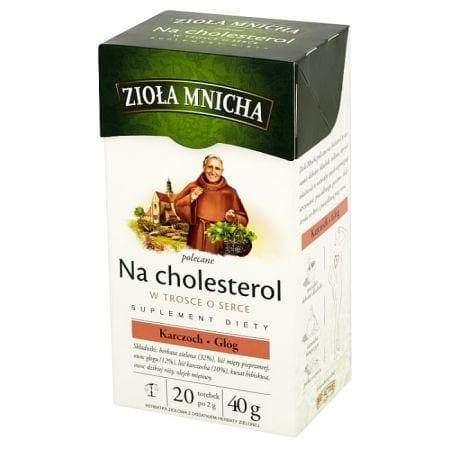 Big - Active Cholesterin Nahrungsergänzungsmittel Kräutertee 40 g (20 Beutel) - Polskashop24